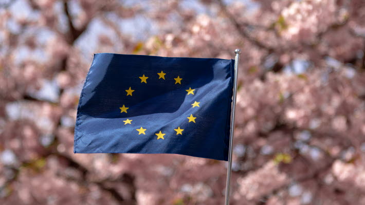 EU-flagga i Kungsträdgården