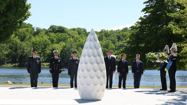 Veterandagen uppställninge framför monument.