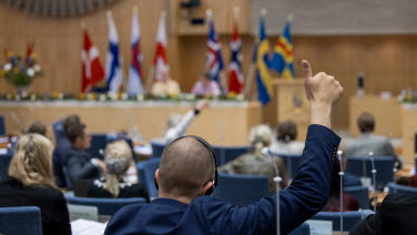 Person gör tummen upp under en omröstning i kammaren.