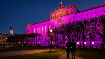 The Riksdag building in purple light.